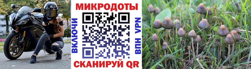цены наркотик  Певек  Псилоцибиновые грибы мухоморы 